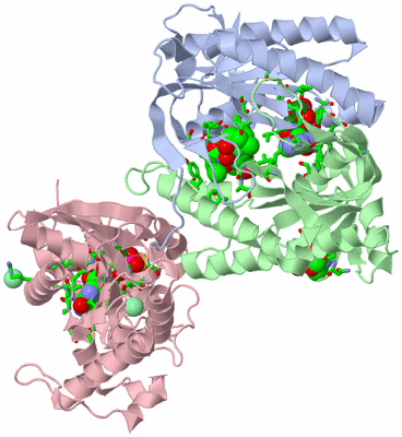 Image Biol. Unit 1 - sites