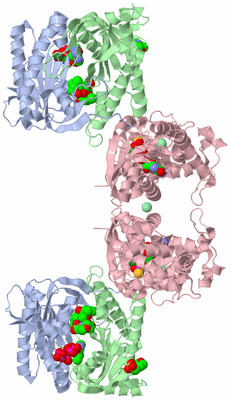 Image Biological Unit 2