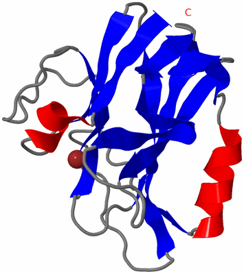 Image NMR Structure - model 1