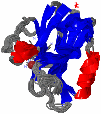 Image NMR Structure - all models