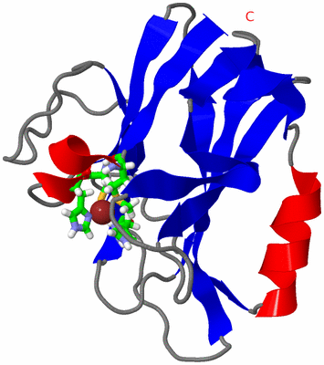 Image NMR Structure - model 1, sites