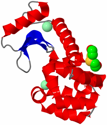 Image Asym./Biol. Unit