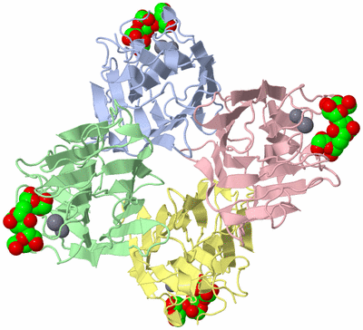 Image Asym./Biol. Unit