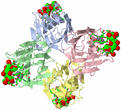 Image Asym./Biol. Unit - sites