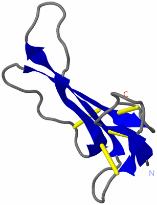 Image NMR Structure - model 1