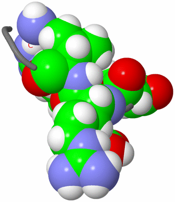 Image NMR Structure - model 1