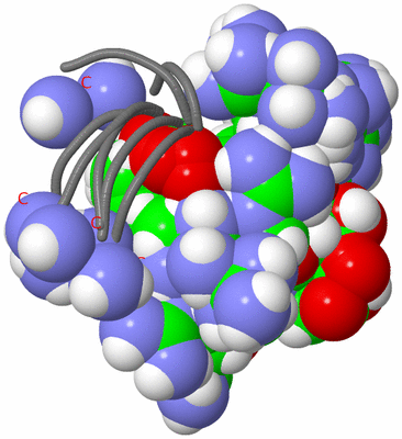 Image NMR Structure - all models