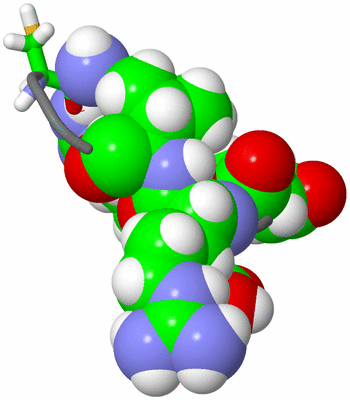 Image NMR Structure - model 1, sites