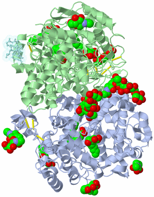 Image Asym./Biol. Unit