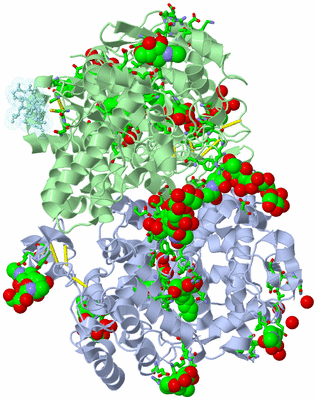 Image Asym./Biol. Unit - sites