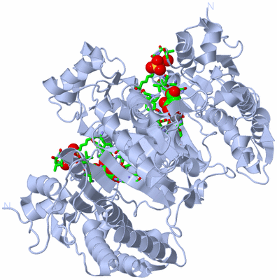 Image Biol. Unit 1 - sites