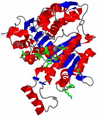 Image Asym. Unit - sites