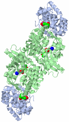 Image Biological Unit 1