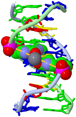 Image Biological Unit 1