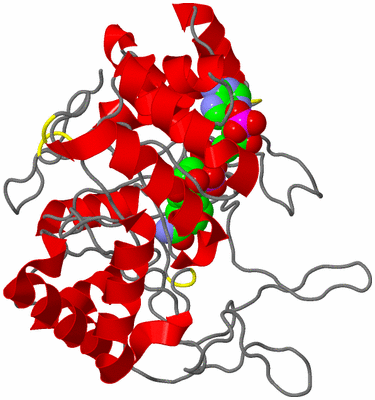 Image Asym./Biol. Unit