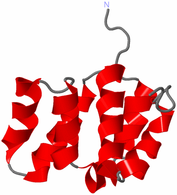 Image NMR Structure - model 1