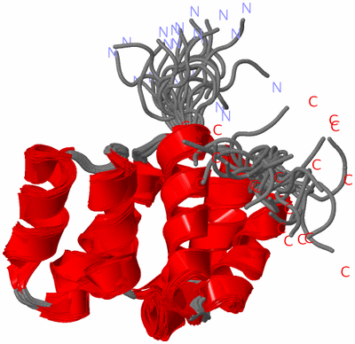 Image NMR Structure - all models