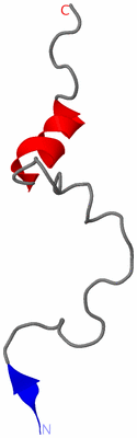 Image NMR Structure - model 1