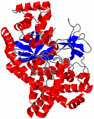 Image Asym./Biol. Unit