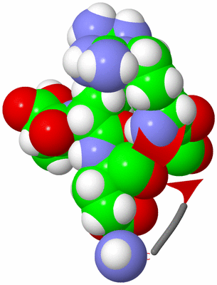 Image NMR Structure - model 1, sites