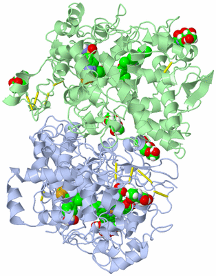 Image Biological Unit 1