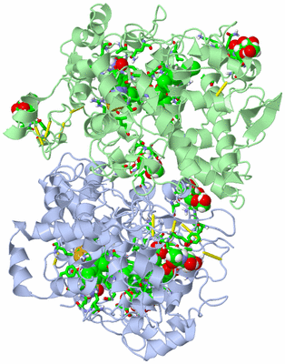 Image Biol. Unit 1 - sites