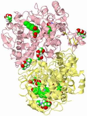 Image Biological Unit 2