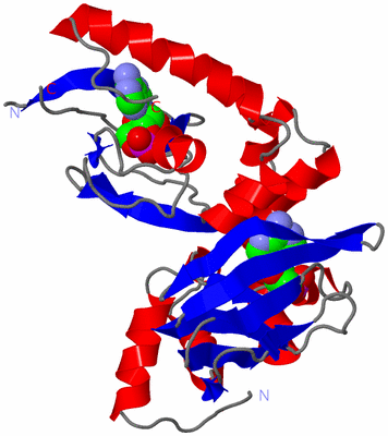 Image Asym./Biol. Unit