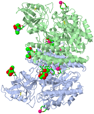 Image Biol. Unit 1 - sites