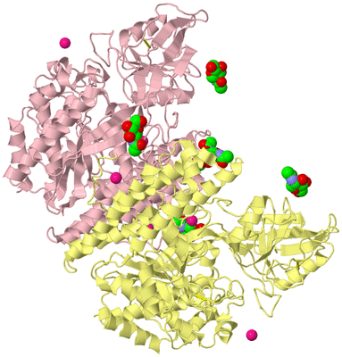 Image Biological Unit 2