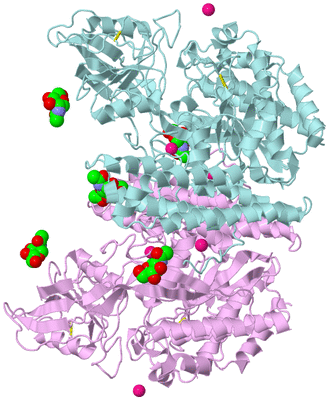 Image Biological Unit 3