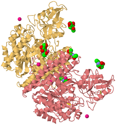 Image Biological Unit 4