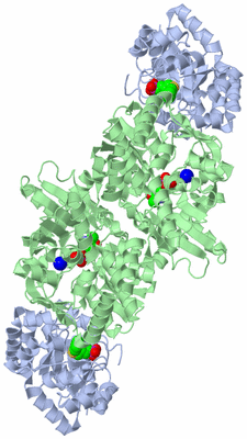 Image Biological Unit 1