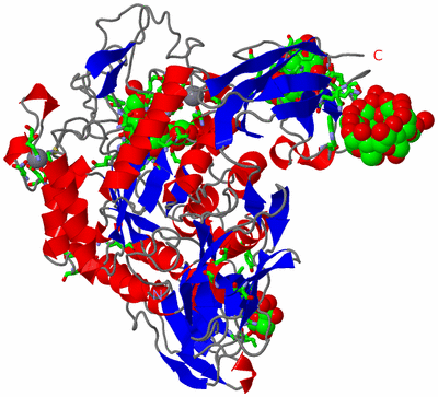 Image Asym./Biol. Unit - sites