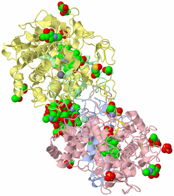 Image Biological Unit 1