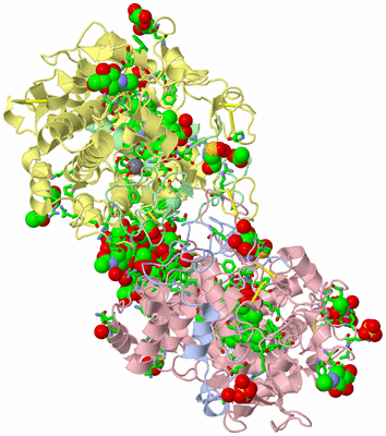 Image Biol. Unit 1 - sites