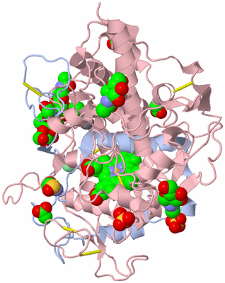 Image Biological Unit 2