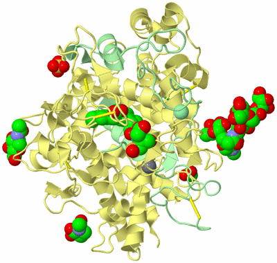 Image Biological Unit 3