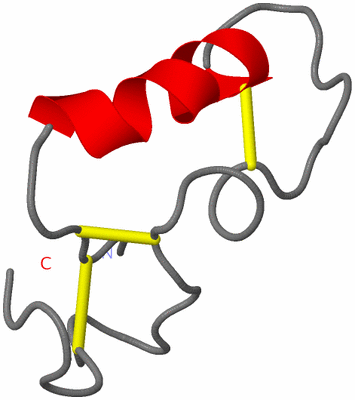 Image NMR Structure - model 1