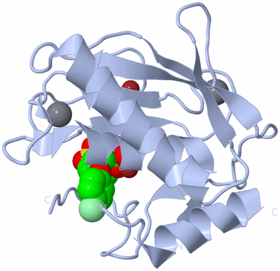 Image Biological Unit 1