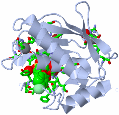 Image Biol. Unit 1 - sites