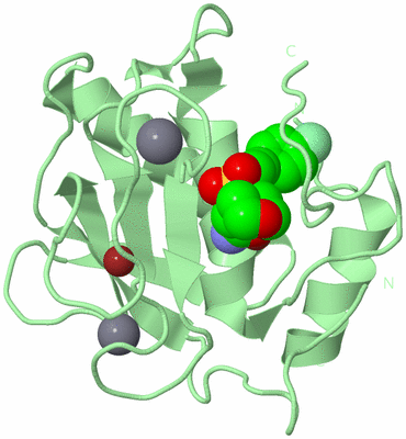 Image Biological Unit 2