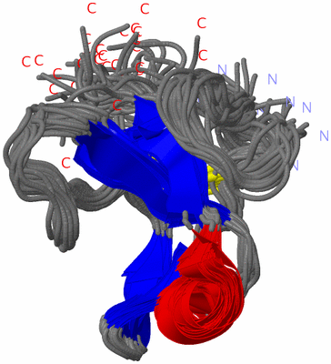 Image NMR Structure - all models