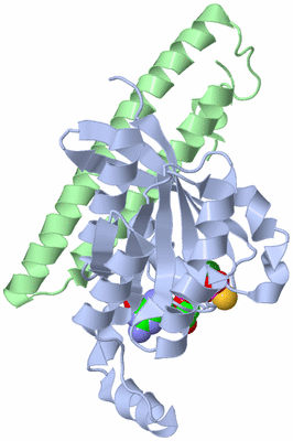 Image Asym./Biol. Unit