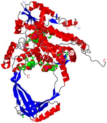 Image Asym./Biol. Unit - sites