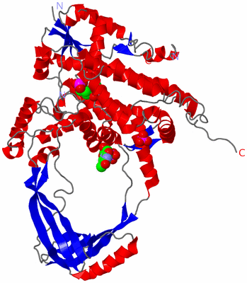 Image Asym./Biol. Unit