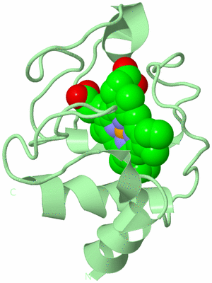 Image Biological Unit 2