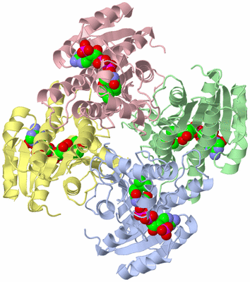 Image Asym./Biol. Unit