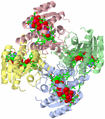 Image Asym./Biol. Unit - sites