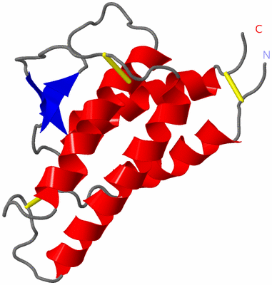 Image NMR Structure - model 1